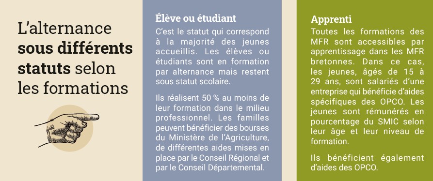 Alternance selon statut